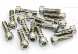 SCHREMS SCHRAUBENBOX M6 15-er SET INNEN 6-KANT EDELSTAHL M6X25 E