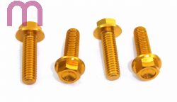 SCHREMS BUNDKOPFSCHRAUBE ALU M6X20 MM 4-PACK SCHLSSELWEITE 8 MM