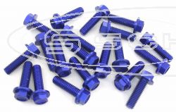 SCHREMS BUNDKOPFSCHRAUBE ALU M6X25 MM 20-PACK SCHLSSELWEITE 8 M