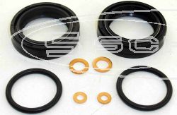 SCHREMS GABEL-SIMMERRING KITS AR2050G DCY 35X48X11