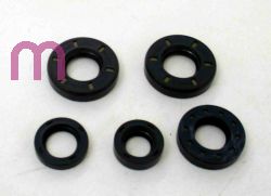 SCHREMS OIL SALS SET PREMIUM ENGINE COMPLET FRANCO MORINI T4-4MR-UC4