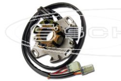 SCHREMS ELECTREX ZNDUNGS KIT SUZUKI RM 250 98-01