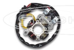 SCHREMS ELECTREX LICHT/ZNDUNGS KIT KOMPLETT YAMAHA YZF450 06-