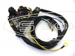 SCHREMS LIGHTING STATOR CR125R/250R (00-01)