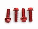 SCHREMS BUNDKOPFSCHRAUBE ALU M6X25 MM 4-PACK SCHLSSELWEITE 8 MM