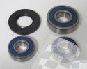 SCHREMS WHEEL BEARING AND SEAL KIT