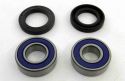 SCHREMS WHEEL BEARING AND SEAL KIT