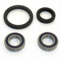 SCHREMS WHEEL BEARING AND SEAL KIT