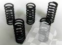 SCHREMS-EBC CLUTCH SPRING KIT PREMIUM 6-PIECE