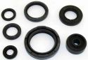 SCHREMS OIL SEALS SET ENGINE COMPLET YAMAHA YZ 250 88-97