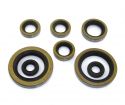 SCHREMS OIL SEALS SET ENGINE COMPLET KTM EXC 250R 01-06, EXC/SX 450/520/525 03-06