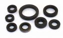 SCHREMS SIMMERRING-SATZ MOTOR KOMPLETT KAWASAKI KX 450F 06-