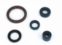 SCHREMS GASKET SET PREMIUM ENGINE COMPLET HUSQVARNA TE-TC 250 03-04