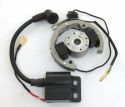 SCHREMS ELECTREX STATOR KIT KOMPLETT KTM SX 50 01-