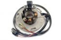 SCHREMS ELECTREX STATOR KIT SUZUKI RM 125 94-95