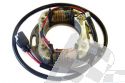 SCHREMS ELECTREX STATOR KIT SUZUKI RM 250 81-85