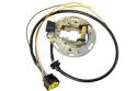 SCHREMS ELECTREX STATOR KIT KAWASAKI KX 85 03-