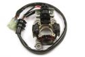 SCHREMS ELECTREX ZNDUNGS KIT YAMAHA YZF450 06-