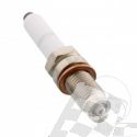 SPARK PLUG OE244 Champion Alternative: Z365 / PZKER7A8EGS